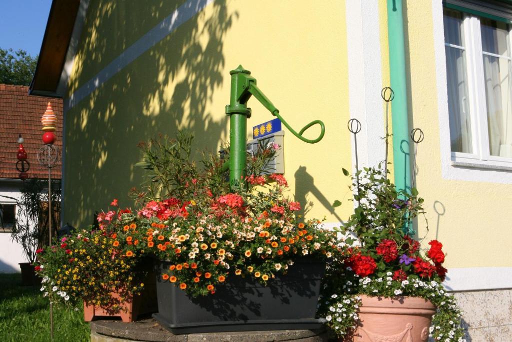 Ferienwohnung Gerersdorf Gerersdorf bei Güssing Exterior photo